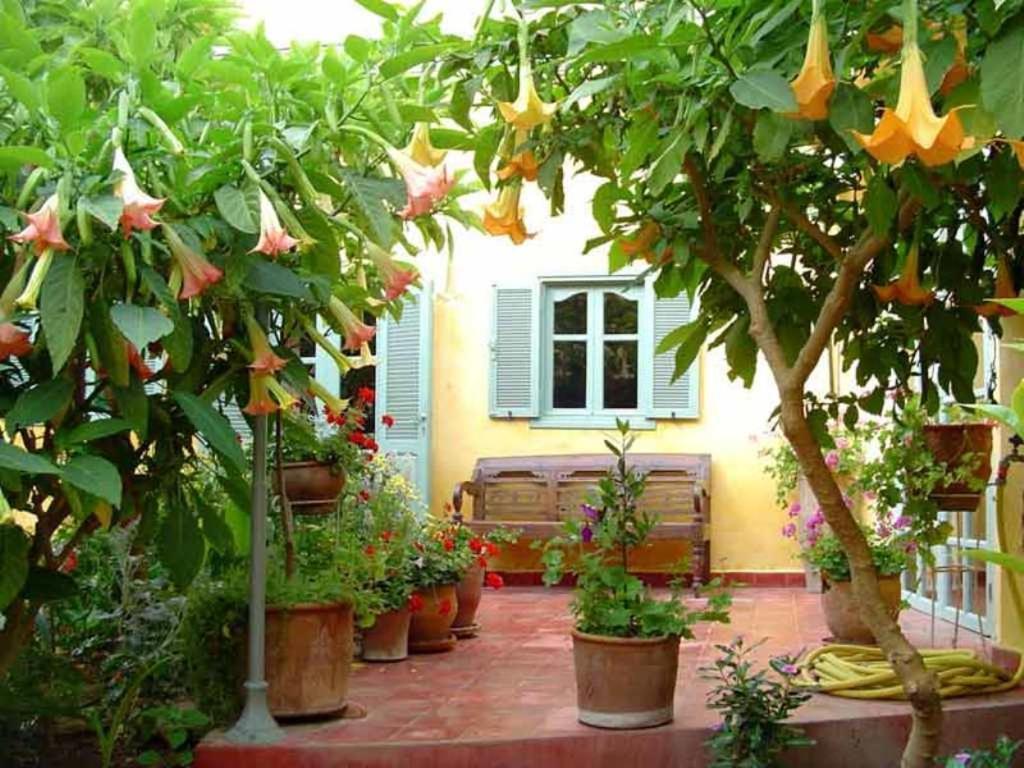 Bed and Breakfast Dar Beldi Oualidia Exterior foto