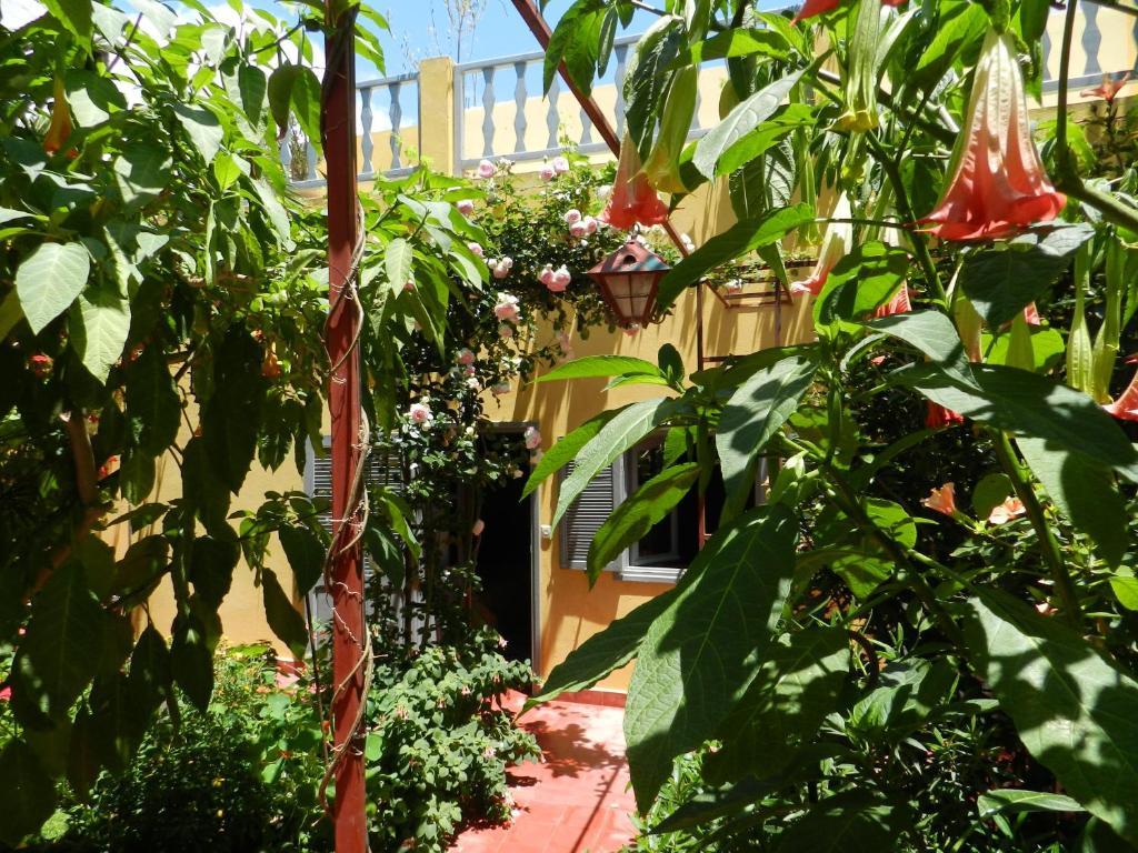 Bed and Breakfast Dar Beldi Oualidia Zimmer foto